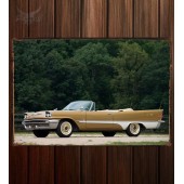 Металлическая табличка DeSoto Adventurer Convertible 218